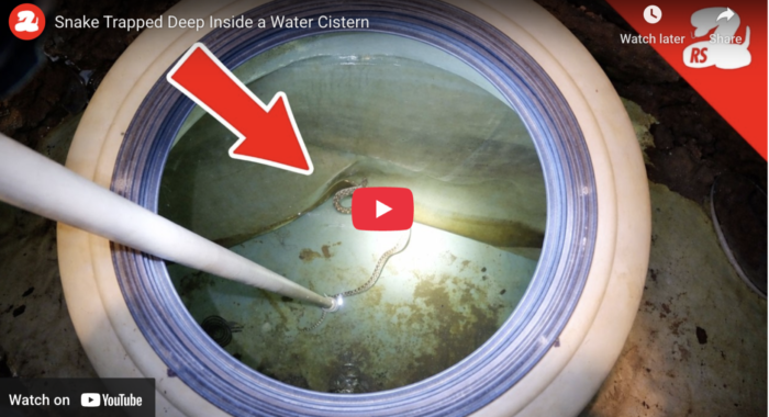 How Do You Get a Snake Out of THIS?